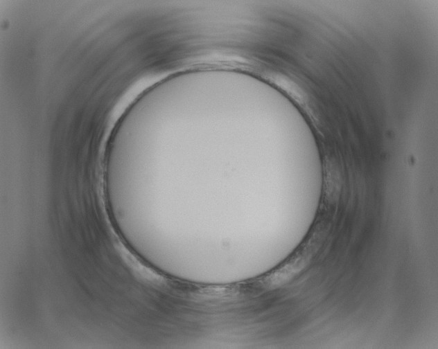 X0000062621478200601181642