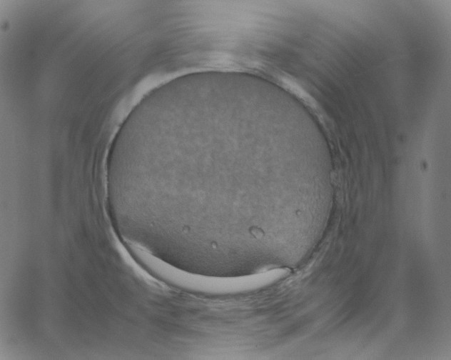 X0000062621479200601181642