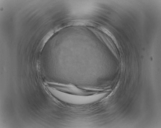 X0000062621481200601181642