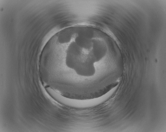 X0000062621483200601181642