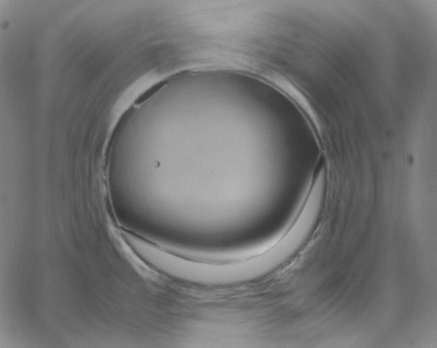 X0000062621485200601181642