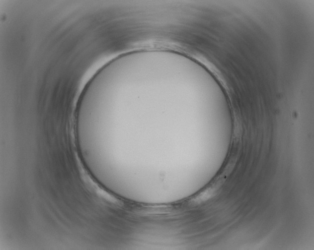 X0000062621486200601181642