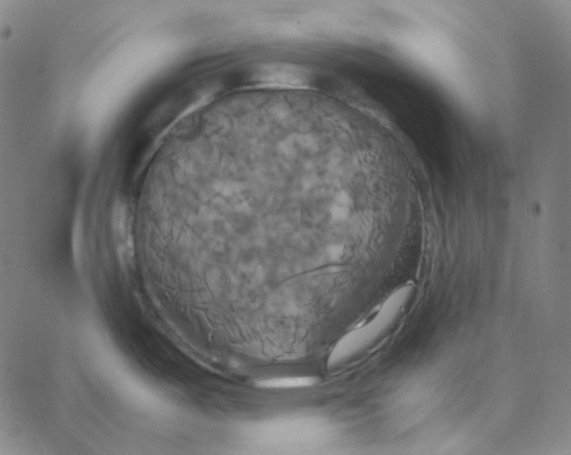 X0000062621487200601181642