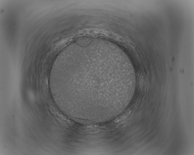 X0000062621489200601181641