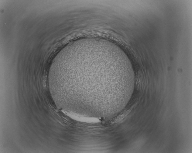 X0000062621490200601181641