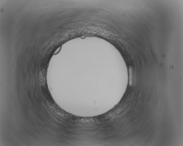 X0000062621491200601181641