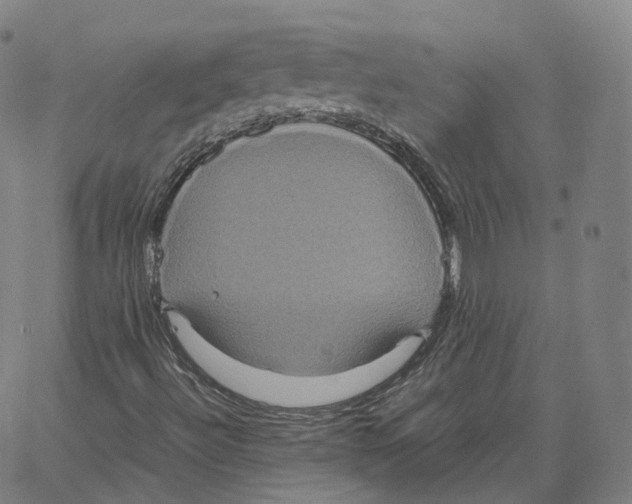 X0000062621492200601181641