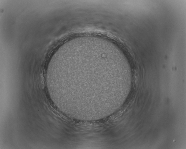 X0000062621493200601181641