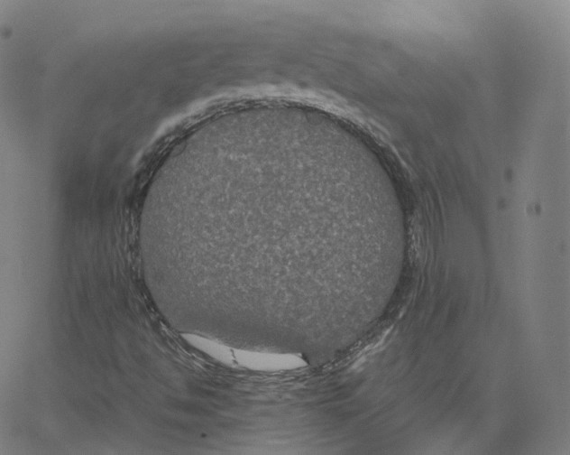 X0000062621494200601181641