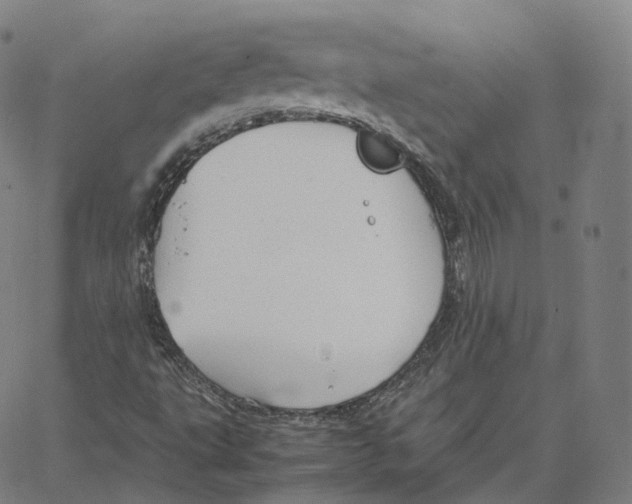 X0000062621495200601181641