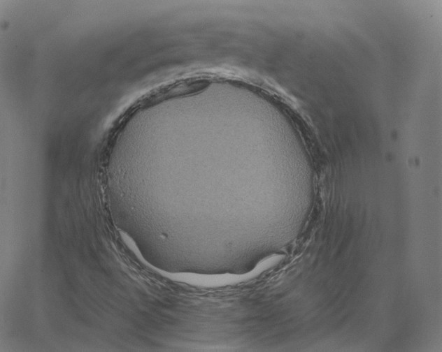 X0000062621496200601181641