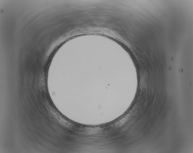 X0000062621498200601181641