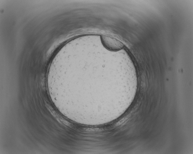 X0000062621499200601181641