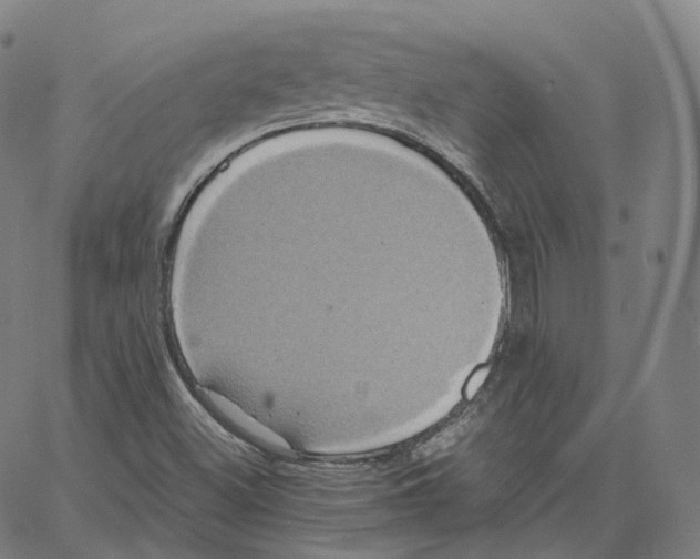 X0000062621500200601181641