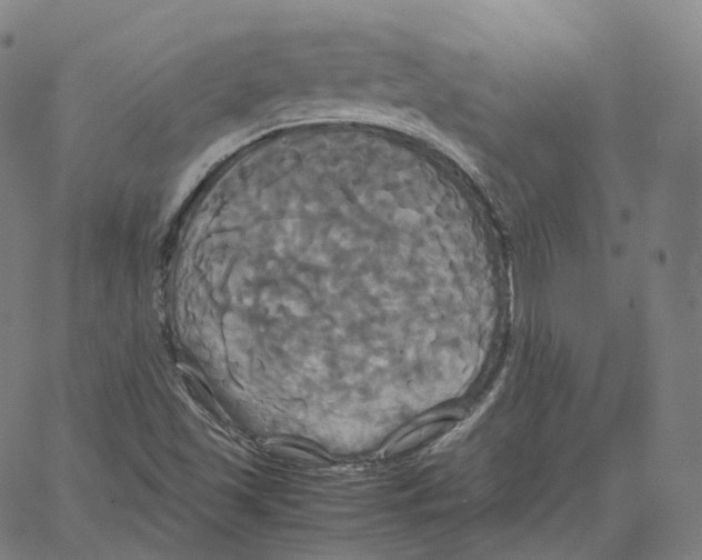 X0000062621501200601181641