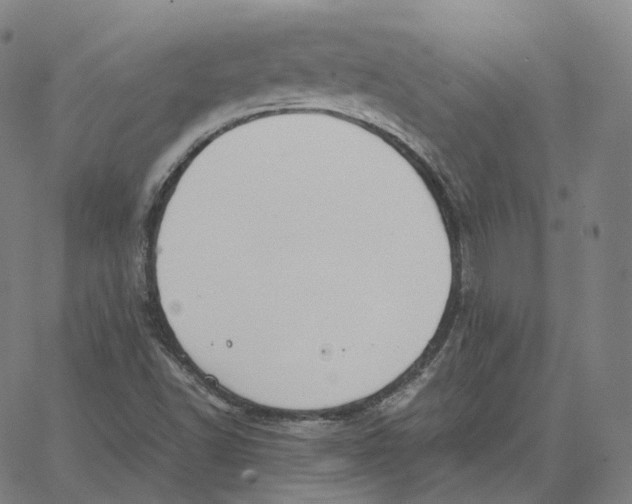 X0000062621502200601181641