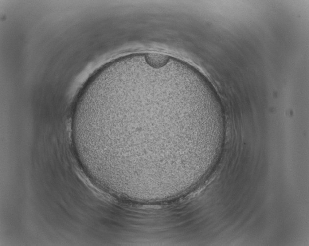 X0000062621503200601181641