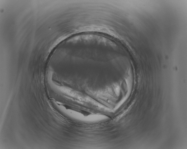 X0000062621505200601181641