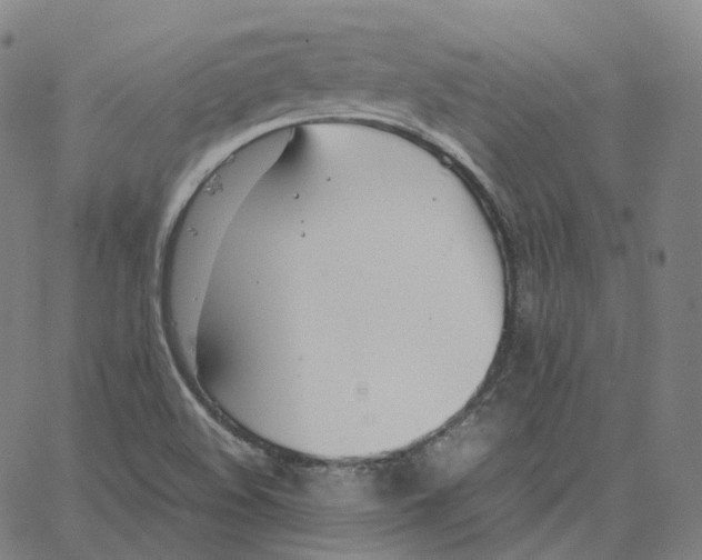 X0000062621508200601181641