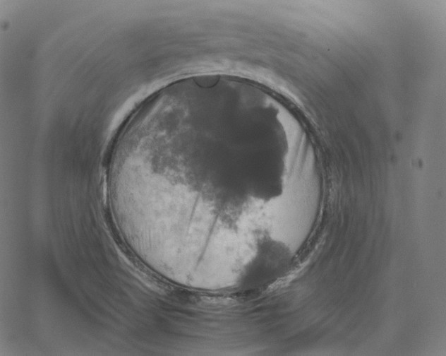 X0000062621509200601181641