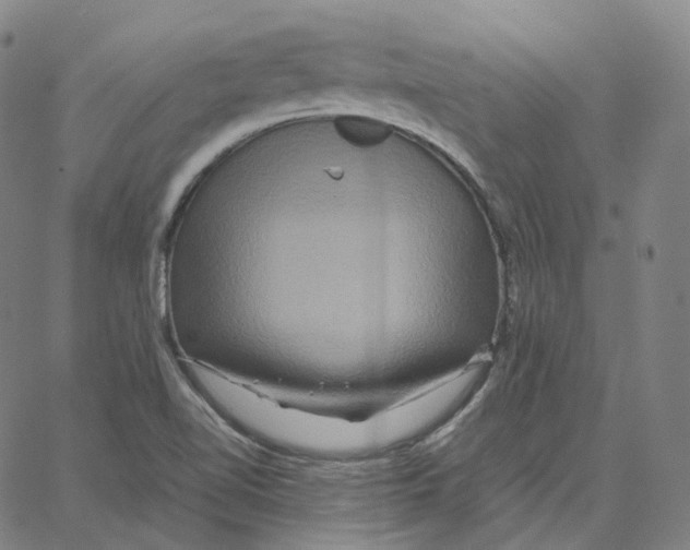 X0000062621510200601181641