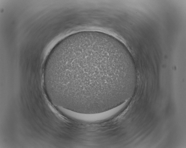 X0000062621511200601181641