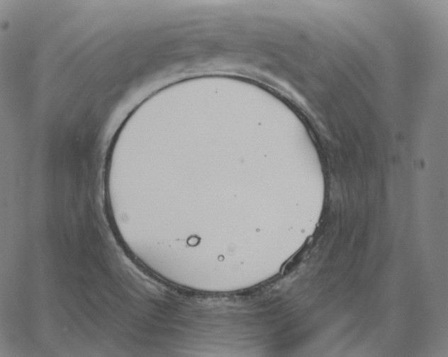 X0000062621512200601181641