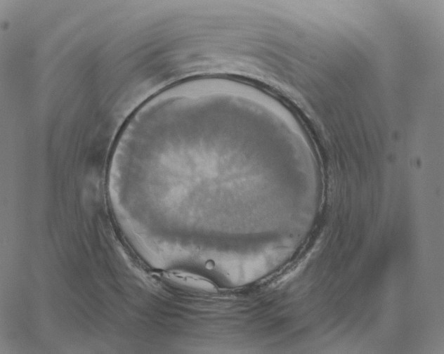 X0000062621513200601181641