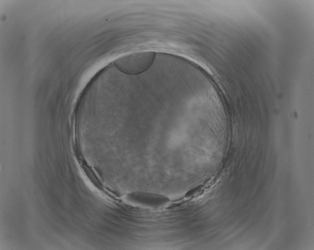 X0000062621515200601181641