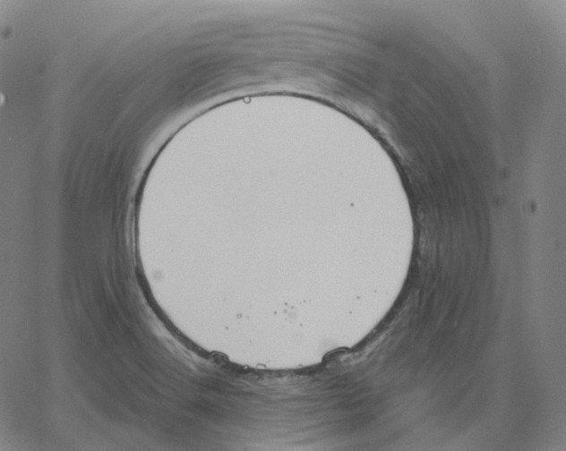 X0000062621516200601181642