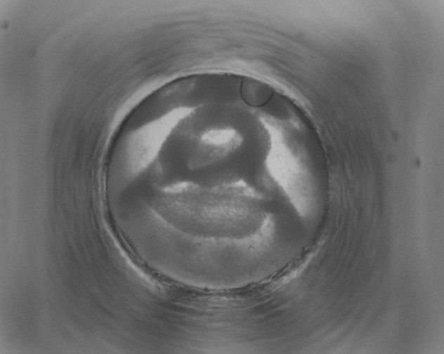 X0000062621517200601181642