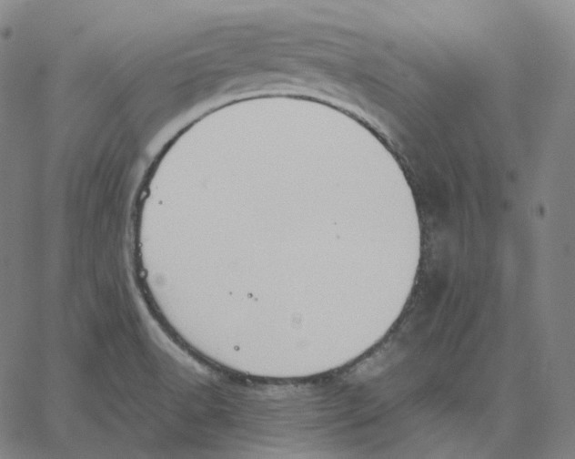 X0000062621518200601181642