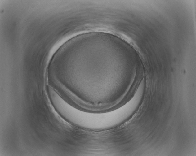 X0000062621520200601181642