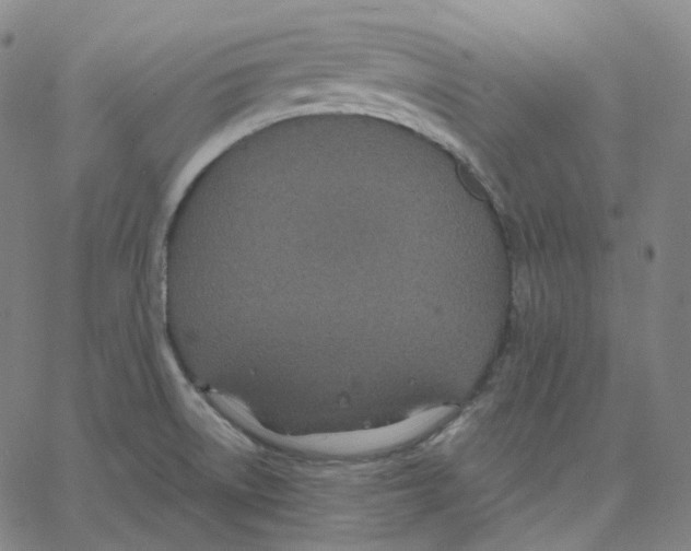 X0000062621522200601181642