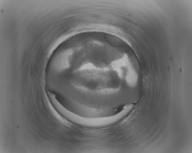 X0000062621523200601181642