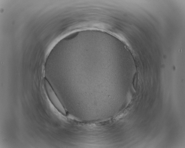 X0000062621524200601181642