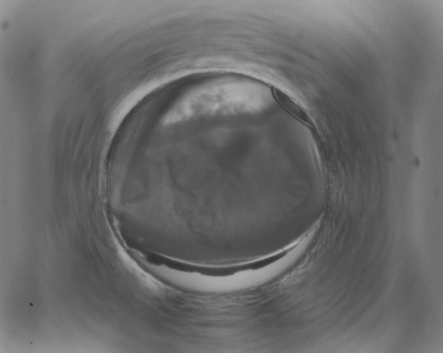 X0000062621527200601181642