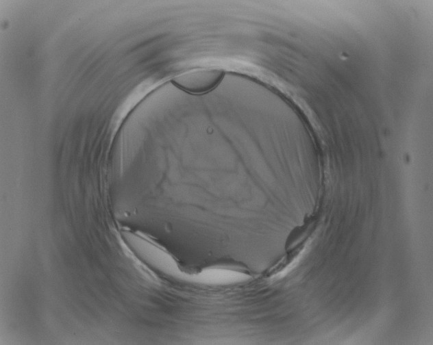 X0000062621529200601181642