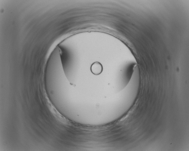 X0000062621530200601181642