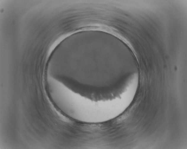 X0000062621533200601181642