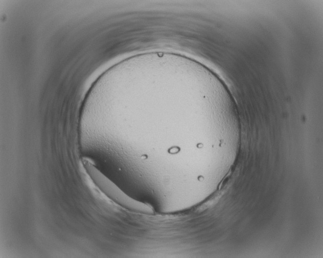 X0000062621534200601181642