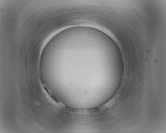 X0000062621536200601181642