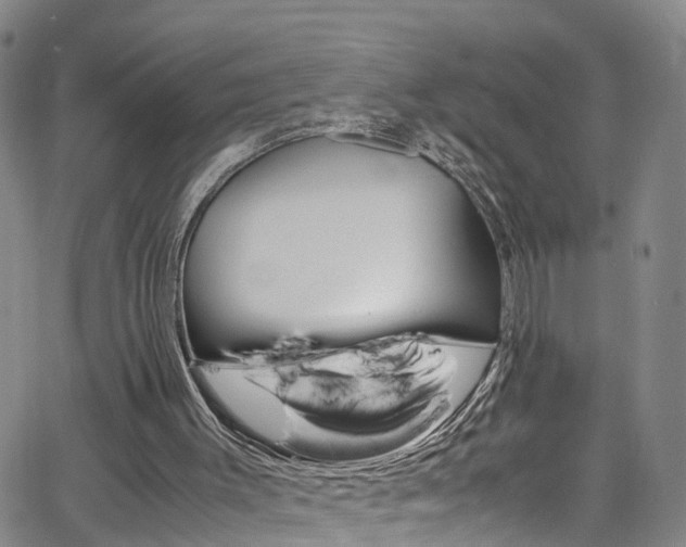 X0000062630003200512210950