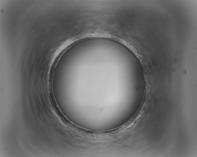 X0000062630008200512210950