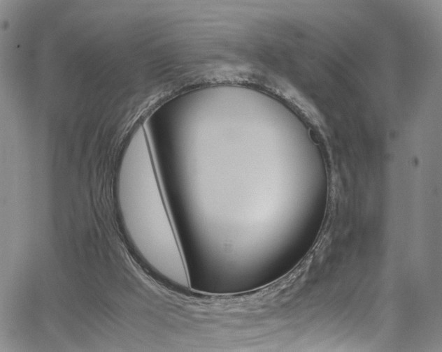 X0000062630009200512210950