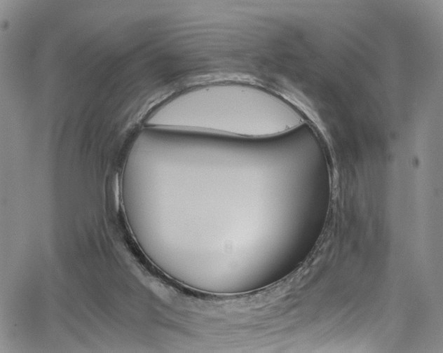 X0000062630013200512210950