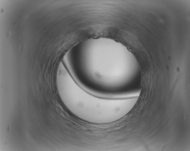 X0000062630039200512210950