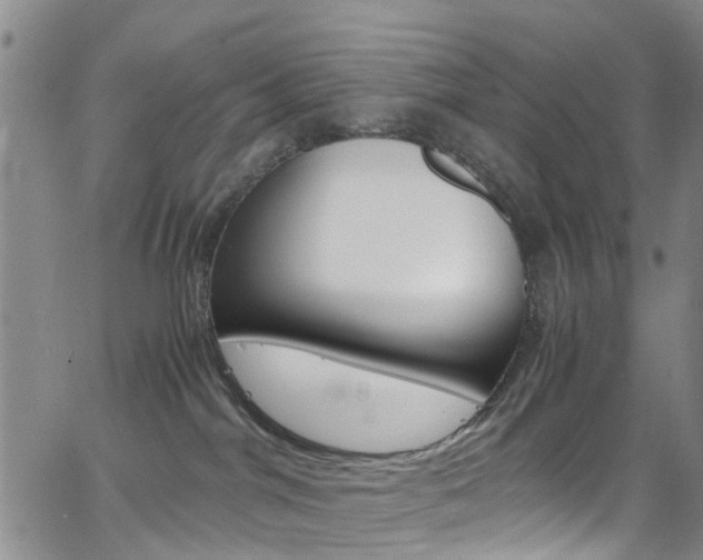 X0000062630044200512210950