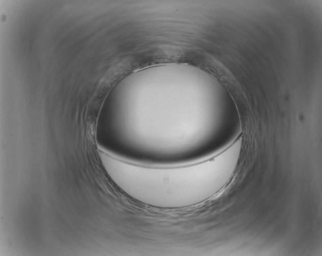 X0000062630045200512210950