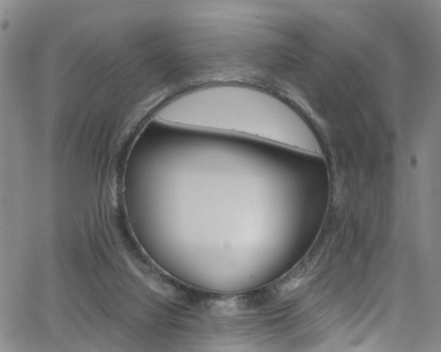 X0000062630068200512210949